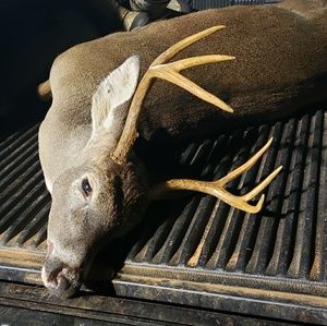 Meet your Posher, Marshall